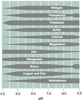 FIGURE 6. The effect of soil pH on nutrient availability. Thicker bars indicate higher nutrient availability (4).