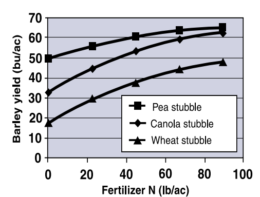 Figure 5: Yield of barley grown in pea, canola, and wheat stubble. Modified from Beckie and Brandt (1997)