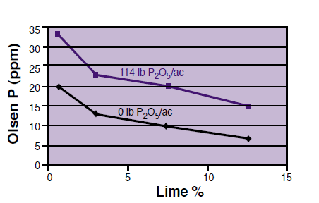 Figure 3. The effect of soil lime concentration on Olsen P test level. Adapted from Westermann (1992).