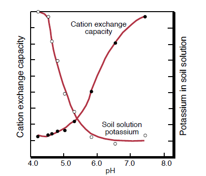 Figure 4. Relationship between pH-dependent cation exchange capacity and K concentration in soil solution (Modified from Brady and Weil, 1999).