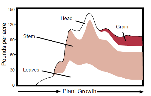 Figure 7. Potassium accumulation of K during growing season for hard red spring wheat (Jacobsen et al., 1992).