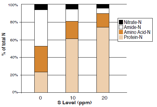 Figure 2. Effect of varying levels of S on the distribution of N in tops of wheat plants (Modified from Steward and Porter, 1969).