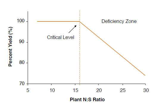 Figure 6. Relationship between relative yield of wheat and plant N:S ratio (modified from Spencer and Freney, 1980).
