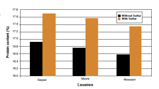 Figure 7. Protein content response to fertilizer in dryland perennial forages (modified from Wichman, 2001).