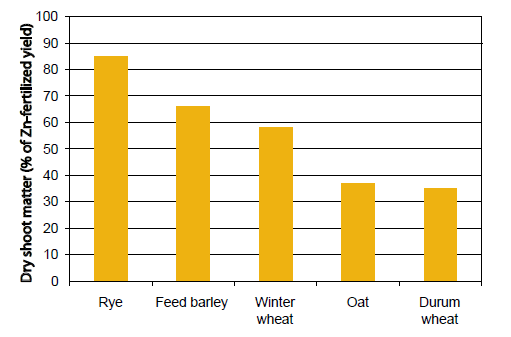 Figure 2. Sensitivity to low soil Zn (expressed as Zn-deficient dry shoot matter/Zn-fertilized dry shoot matter x 100%) (Cakmak et al., 1998).