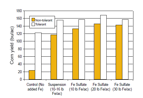 Figure 4. The effect of Fe fertilization on corn yield in a high pH, low Fe soil for both chlorosis-tolerant and non-tolerant hybrids (modified from Stevens et al., 2001).