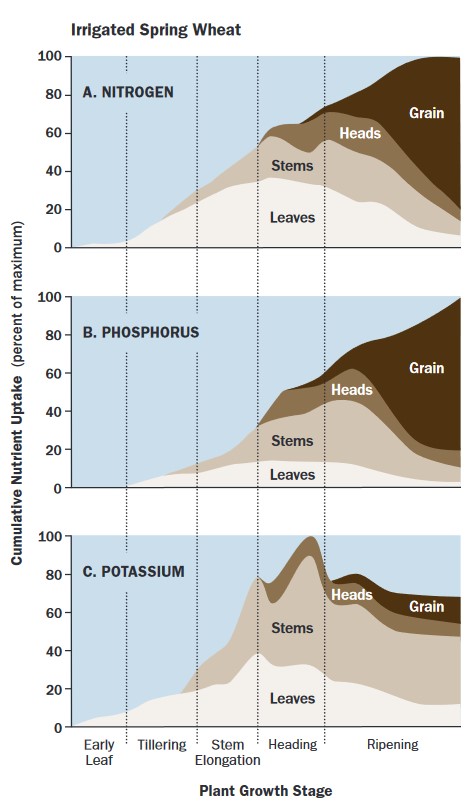 Nutrient uptake graphs