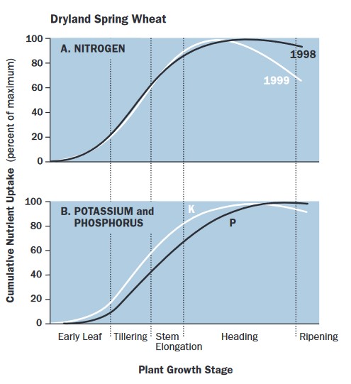 Nutrient uptake graphs