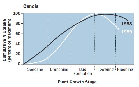 nutrient uptake graph