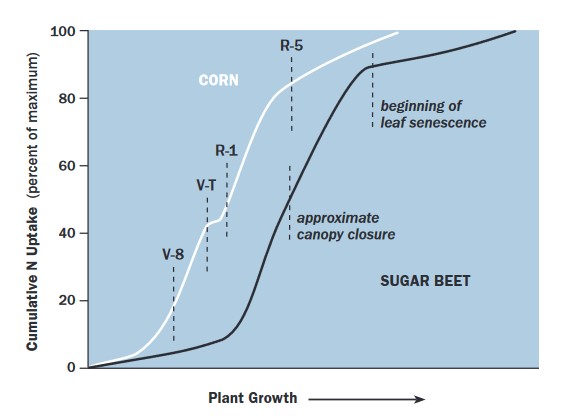 nutrient uptake graph