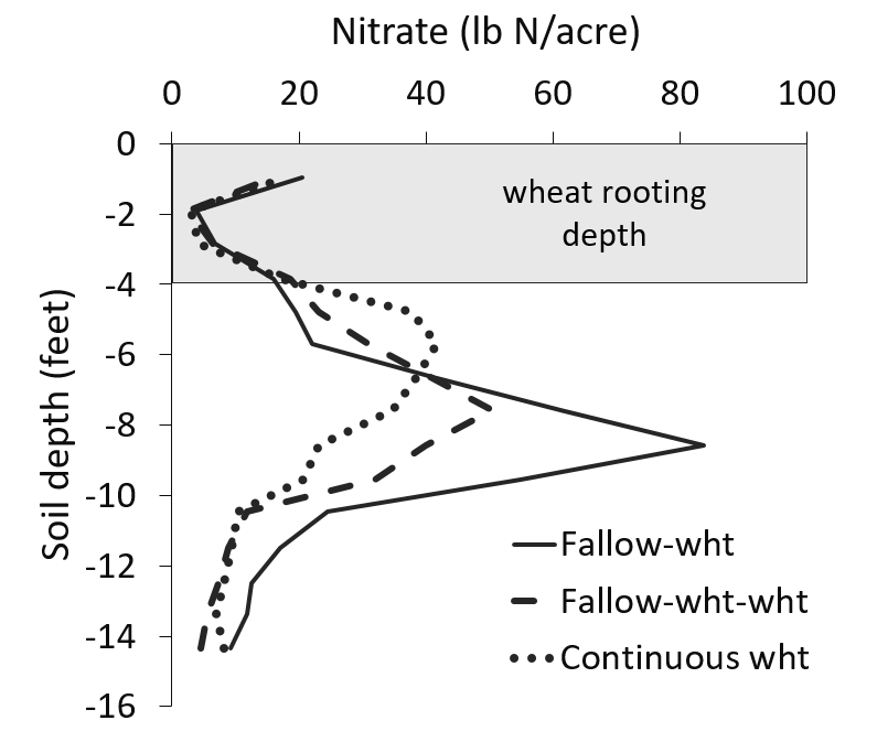 residual soil N by rotation and soil depth