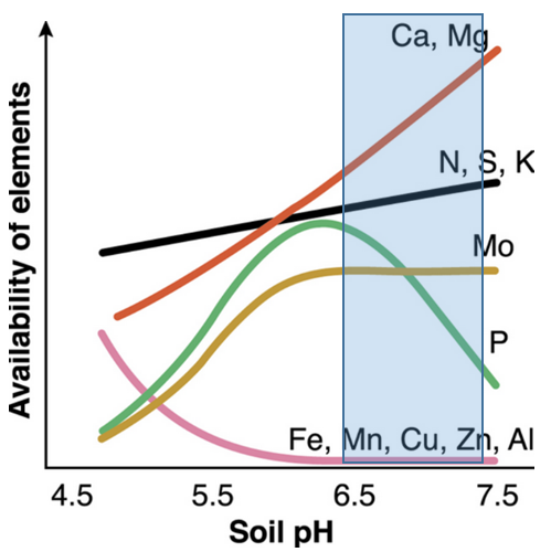 nutrient availability with soil pH