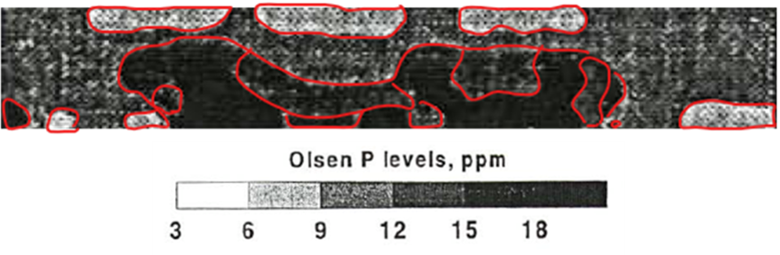 Figure 1. soil P levels across a 1000 acre field