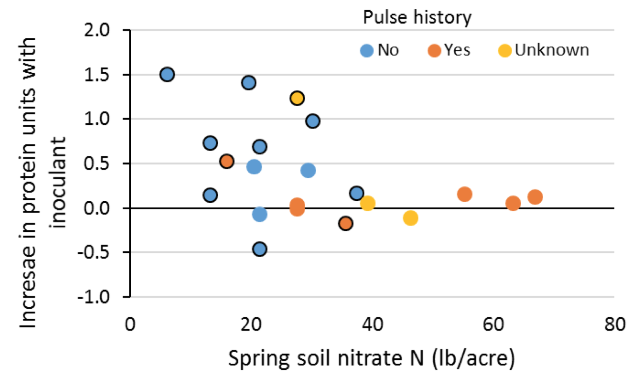 Increase in pea protein units from inoculant for fields with different pulse history and by their spring soil nitrate-N level