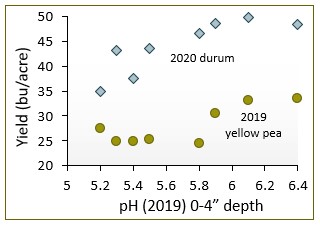 durum and pea yields by soil pH after sB lime