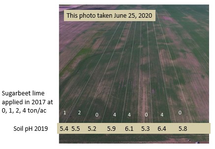 aerial photo field with SB lime applied in strips