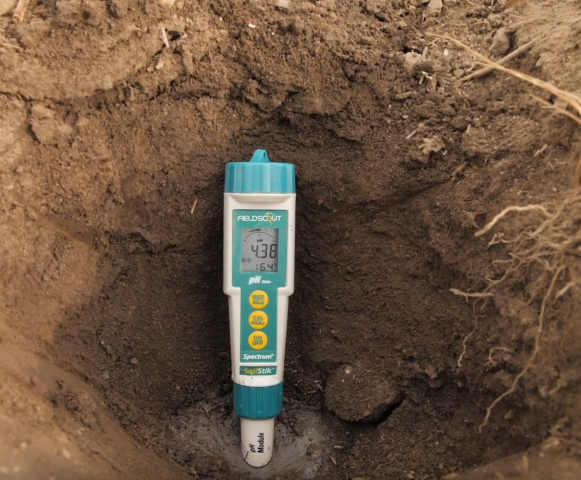 soil pH probe in soil slurry